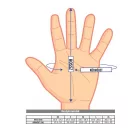 Latex gumikesztyű púdermentes Dermagel coated kopolimeres 100db - XS - Mercator Medical